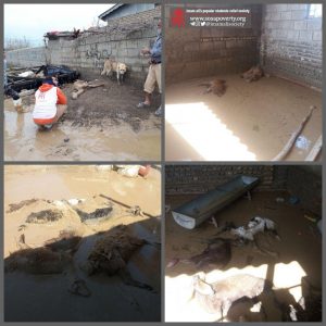 سیل گلستان بهار ۹۸