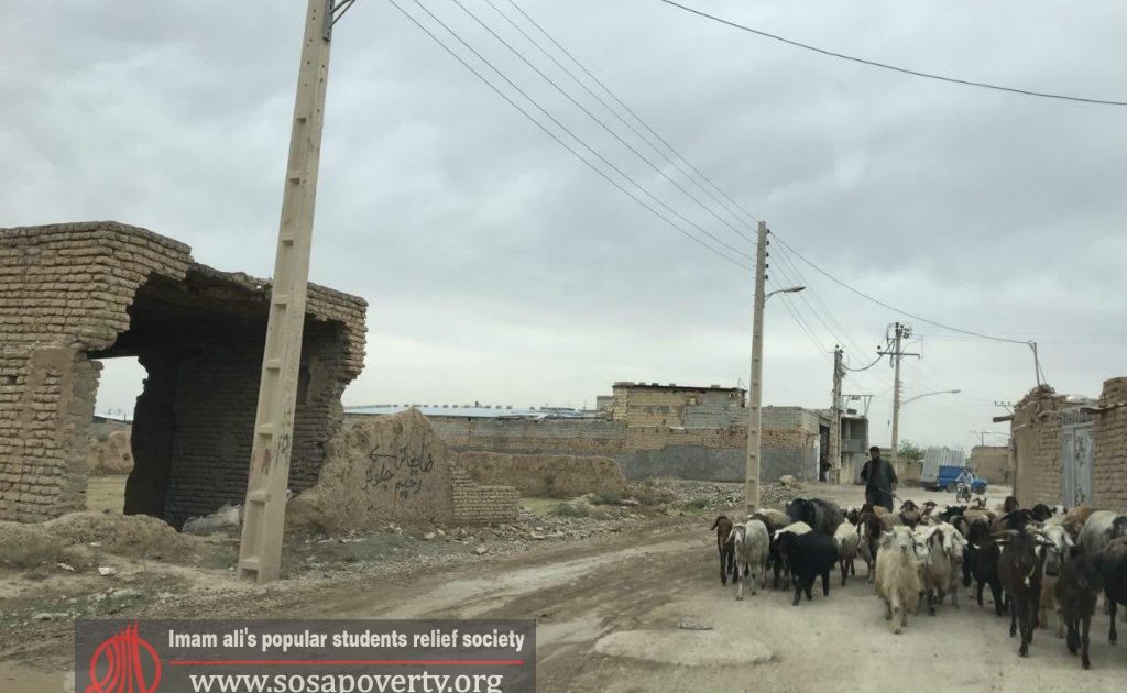 شناسایی کوچه گردان سال ۱۳۹۷