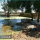 سیل خوزستان بهار 98