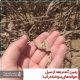 سیل خوزستان بهار 98