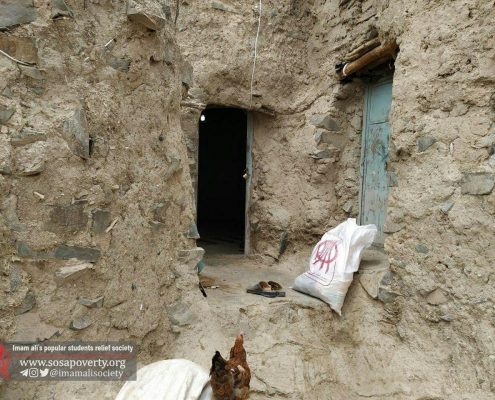 توزیع کیسه های کوچه گردان عاشق در بیرجند