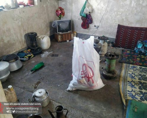 توزیع کیسه های کوچه گردان عاشق در بیرجند