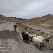 فقر در بیرجند