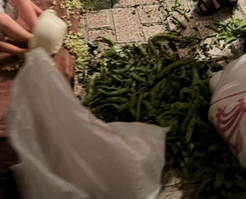 photo_2022-05-17_08-57-58 بیست و سومین کوچه گردان عاشق در شهریار